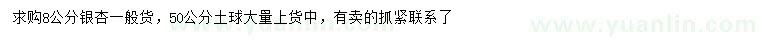 求購(gòu)8公分銀杏