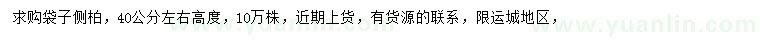 求購高40公分左右側(cè)柏