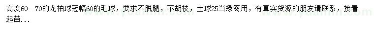求購冠幅60公分龍柏球