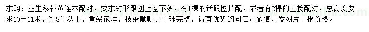 求購10-11米叢生黃連木