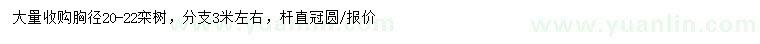 求購(gòu)胸徑20-22公分欒樹(shù)