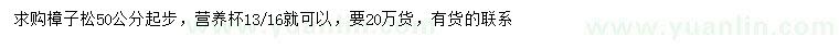 求購50公分起步樟子松