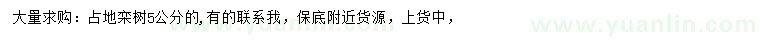求購5公分欒樹