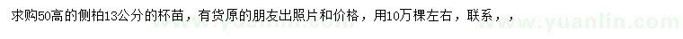 求購高50公分側(cè)柏