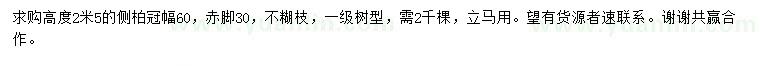 求購高2.5米側(cè)柏