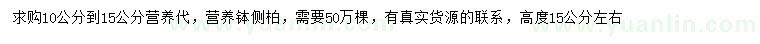 求購10-15公分側(cè)柏