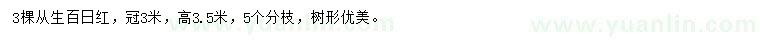 求購冠3米叢生百日紅