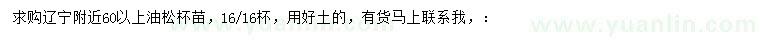 求購60公分以上油松