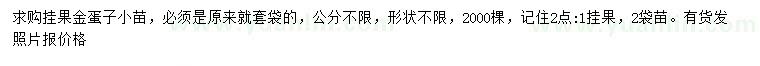 求購掛果金蛋子小苗