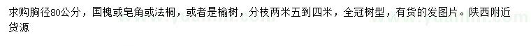 求購國槐、皂角、法桐等