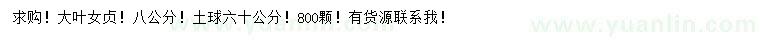 求購(gòu)8公分大葉女貞