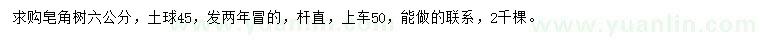 求購6公分皂角樹