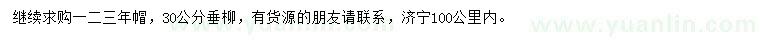 求購(gòu)30公分垂柳