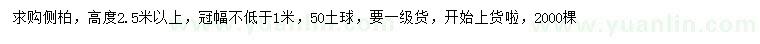 求購(gòu)高2.5米以上側(cè)柏