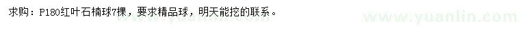 求購冠幅180公分紅葉石楠球