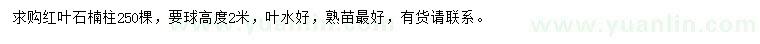 求購高2米紅葉石楠柱