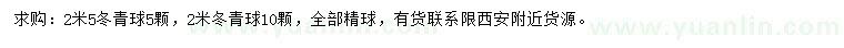 求購2、2.5米冬青球