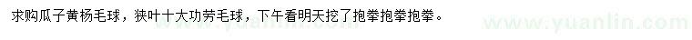 求購瓜子黃楊毛球、狹葉十大功勞毛球