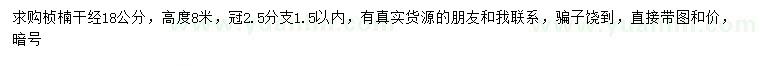 求購高8米楨楠