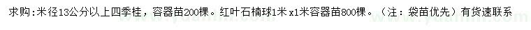 求購(gòu)米徑13公分以上四季桂、1米紅葉石楠球