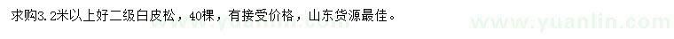 求購3.2米以上白皮松