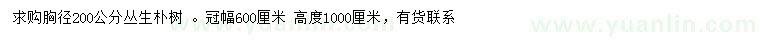 求購胸徑200公分叢生樸樹 