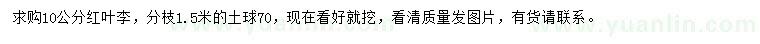 求購10公分紅葉李