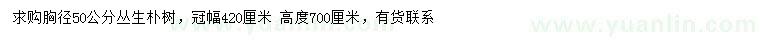 求購(gòu)胸徑50公分叢生樸樹(shù)