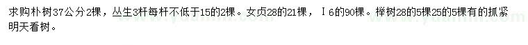 求購(gòu)樸樹(shù)、女貞、櫸樹(shù)