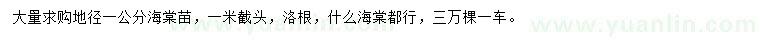 求購(gòu)地徑1公分海棠苗