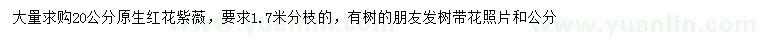 求購20公分紅花紫薇