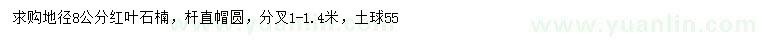 求購地徑8公分紅葉石楠