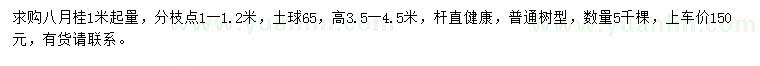 求購高3.5-4.5米八月桂