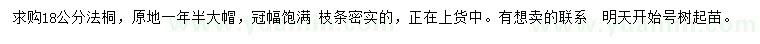 求購18公分法桐