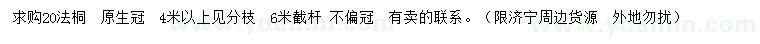 求購20公分法桐