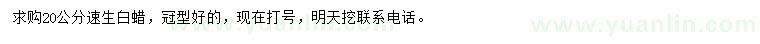 求購20公分速生白蠟