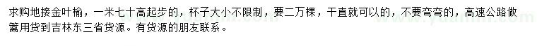 求購金葉榆