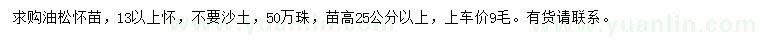 求購(gòu)高25公分以上油松