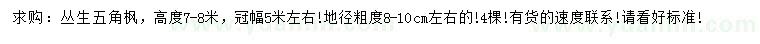 求購高7-8米叢生五角楓