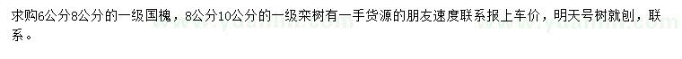 求購(gòu)6、8公分國(guó)槐、8、10公分欒樹(shù)