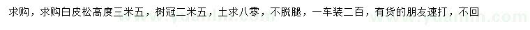 求購高3.5米白皮松