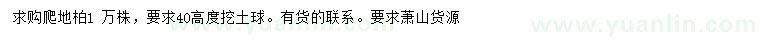 求購高40公分爬地柏
