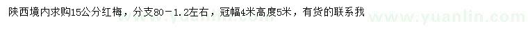 求購15公分紅梅