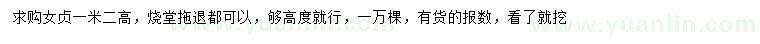求購(gòu)高1.2米女貞
