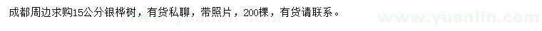 求購(gòu)15公分銀樺樹