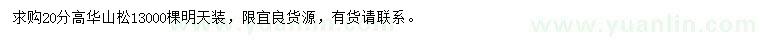求購高20公分華山松