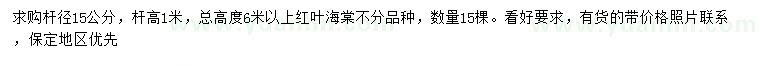求購(gòu)高6米以上紅葉海棠