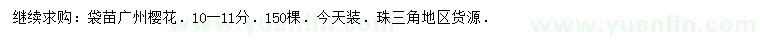 求購10-11公分廣州櫻花
