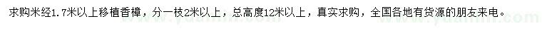 求購米徑1.7米以上香樟