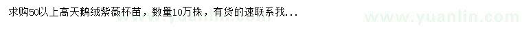 求購高50公分以上天鵝絨紫薇